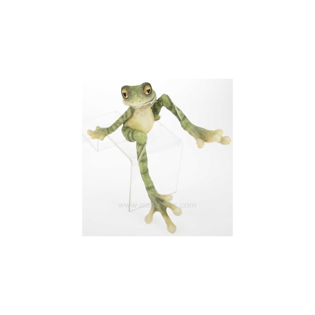 CL49500015  GRENOUILLE SWINGER 47,50 €