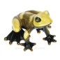 Grenouille porcelaine jaune