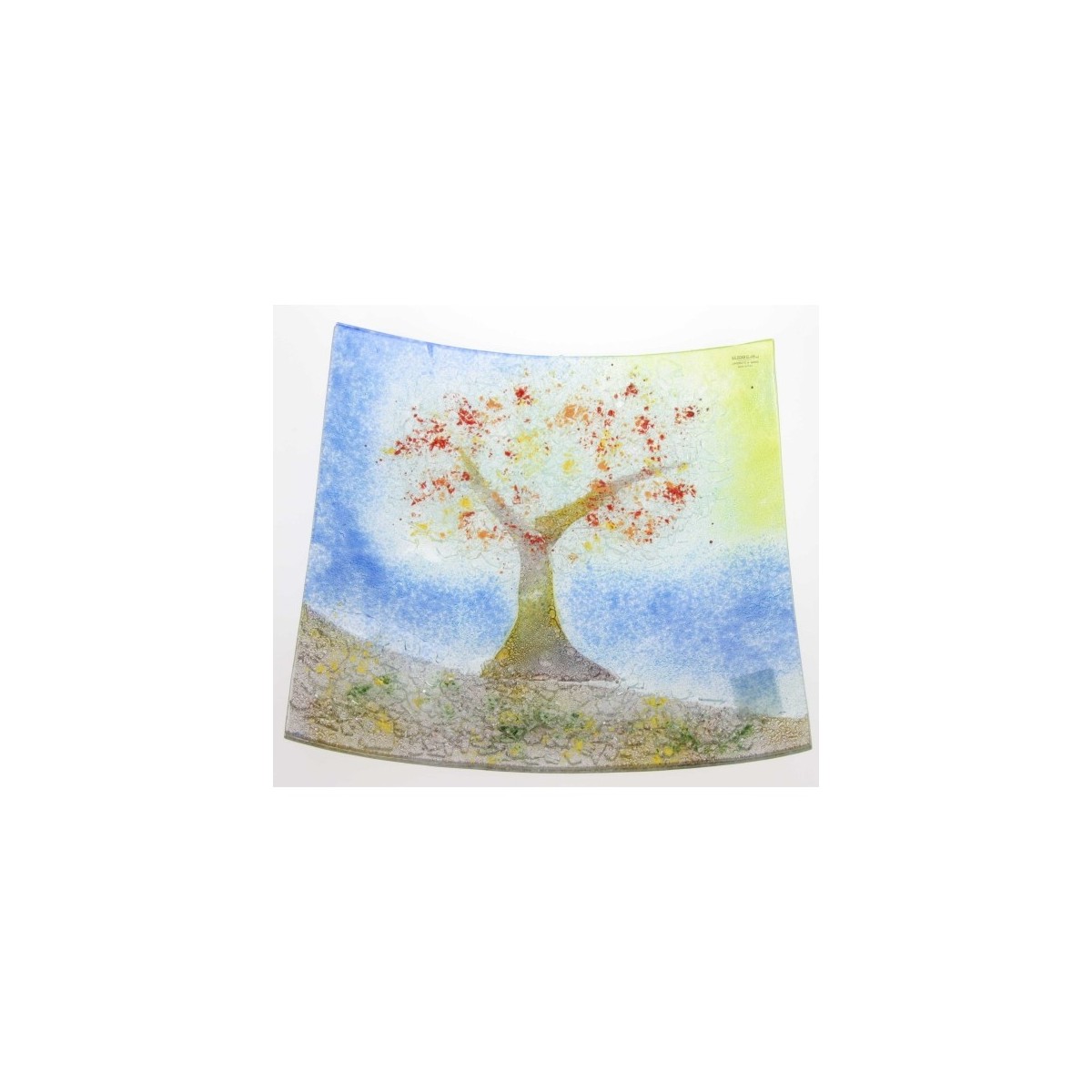 CL49600052  COUPE ARBRE 62,50 €