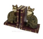CL50000047  Serre livre chats tigres 40,00 €