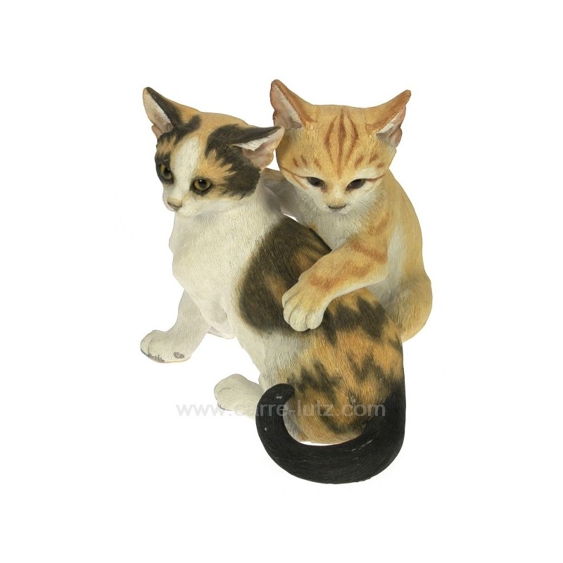 CL50001023  Couple chaton 70,50 €