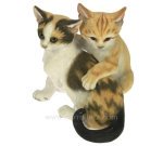 CL50001023  Couple chaton 70,50 €