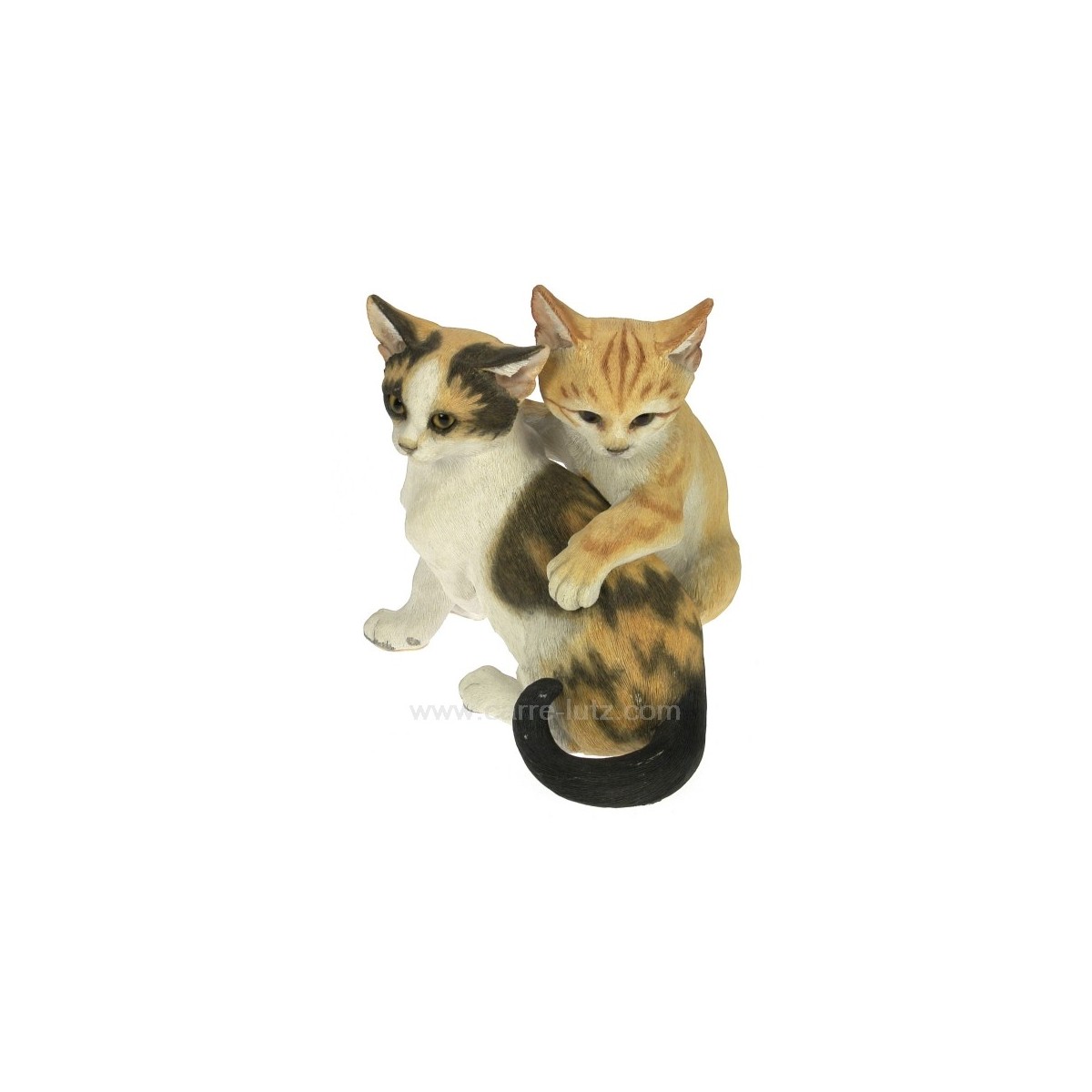 CL50001023  Couple chaton 70,50 €