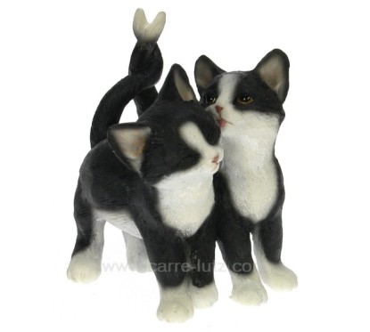 Couple chat noir et blanc