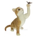 Chat papillon roux