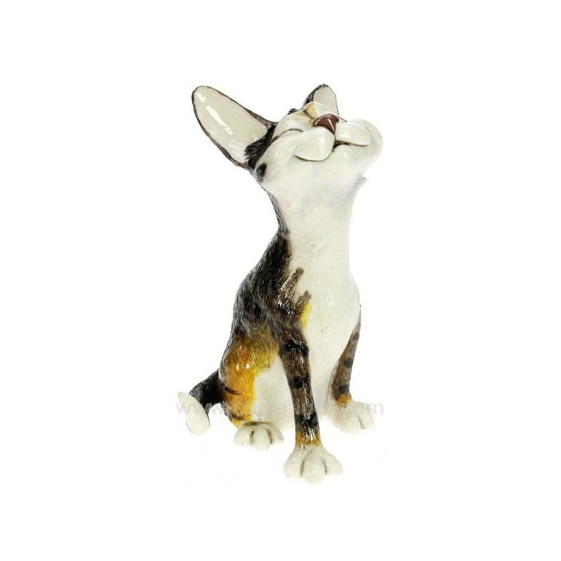 CL50001045  Chat Nicky 51,50 €