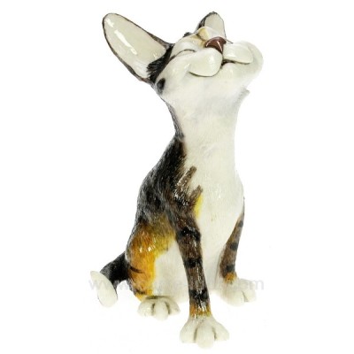 CL50001045 Chat Nicky 51,50 €