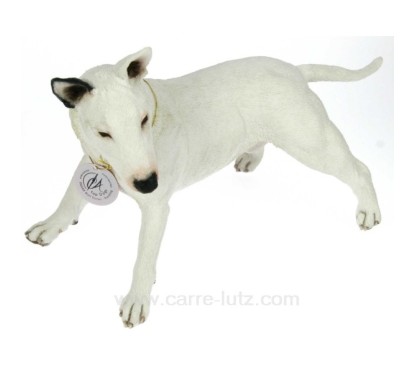 CHIEN BULL TERRIER ANGLAIS
