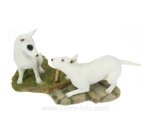 CL50011019  PAIRE BULL TERRIER AU JARDIN 45,00 €