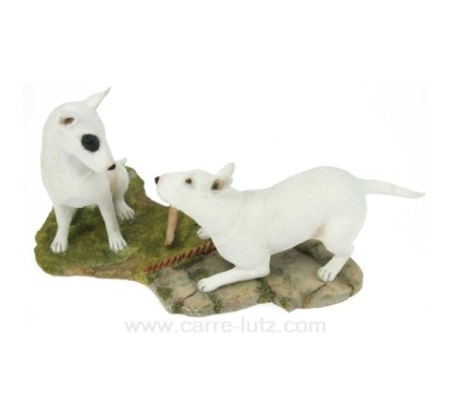 PAIRE BULL TERRIER AU JARDIN