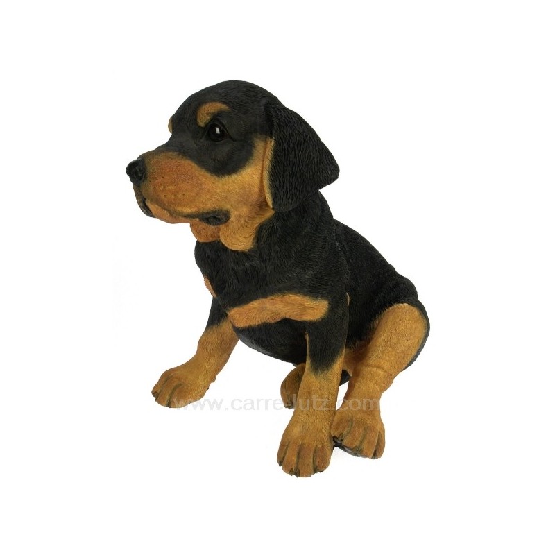 CL50011024  chiot Rottweiler assis 97,80 €