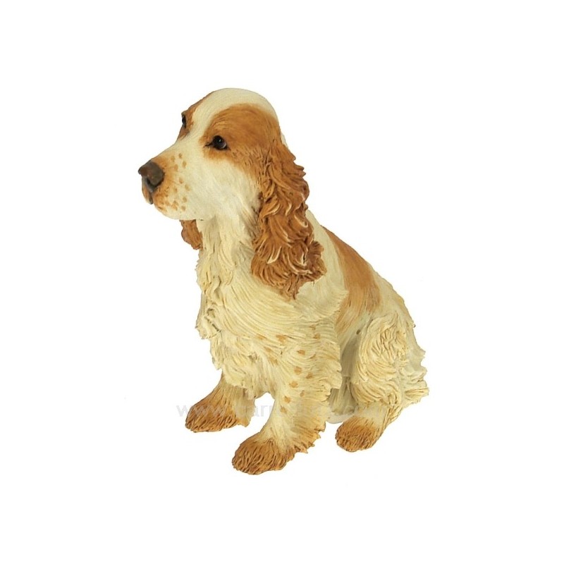 Cocker spaniel