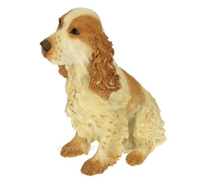 Cocker spaniel