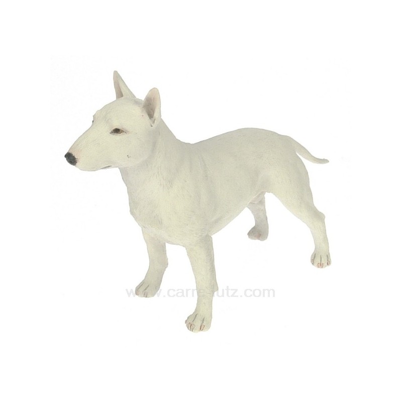 Bull terrier anglais debout