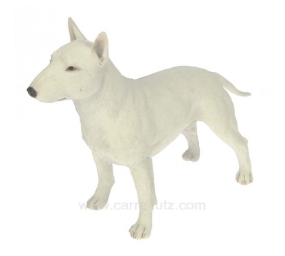 Bull terrier anglais debout