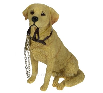 Labrador beige laisse