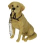 Labrador beige laisse