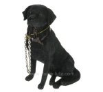 CL50011030  Labrador noir laisse 36,00 €