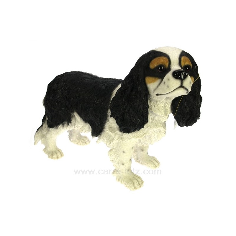 Cavalier King Charles