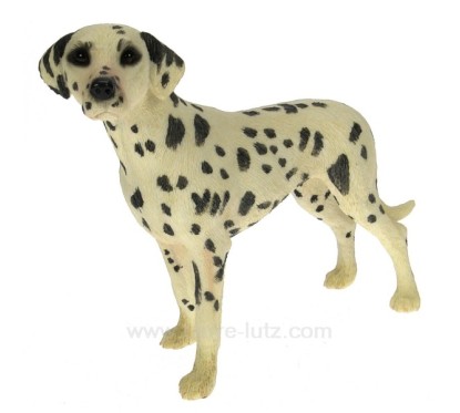 CL50011032  Dalmatien 21,00 €