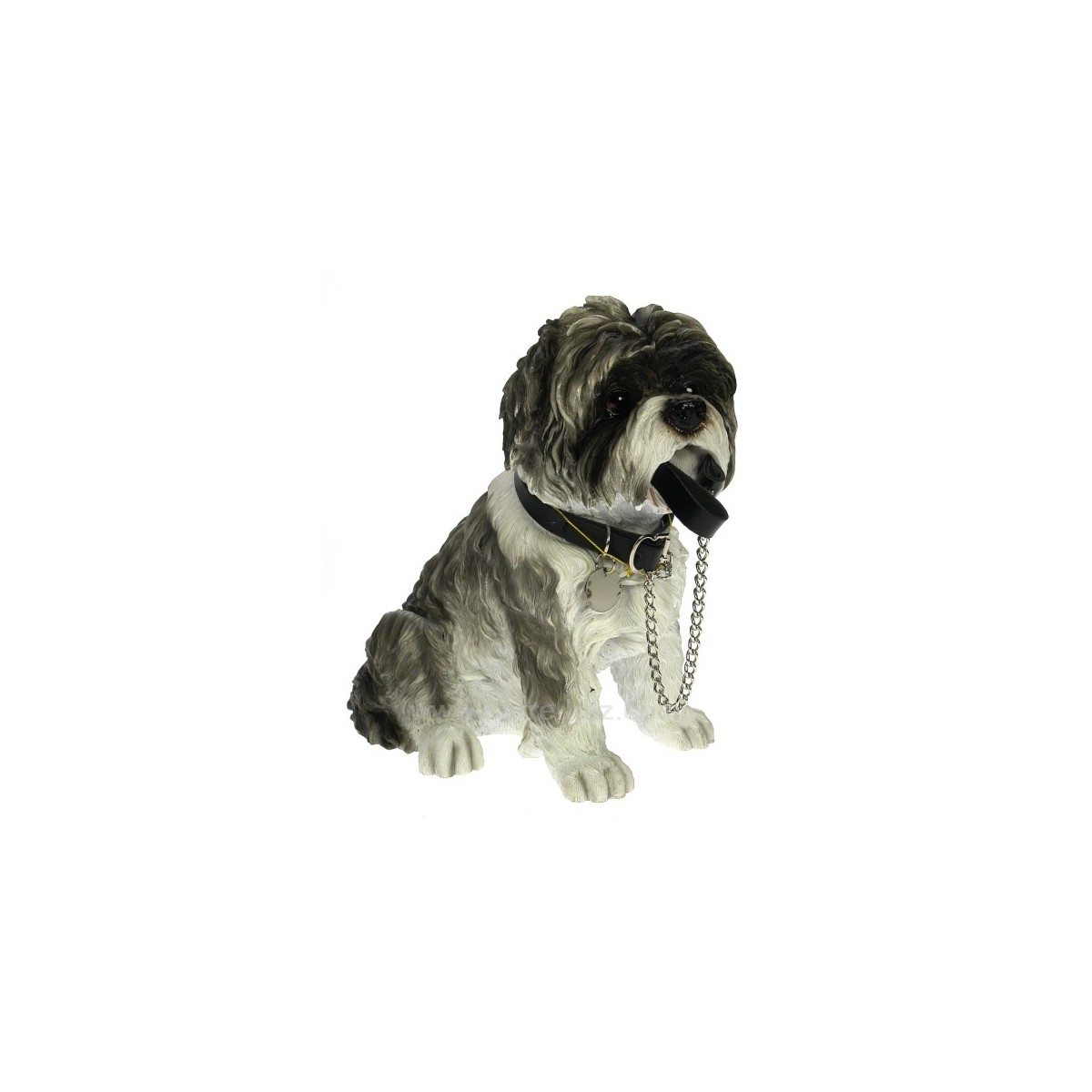 CL50011033  Shih tzu avec laisse 73,50 €