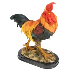 CL50091006  COQ 65,00 €