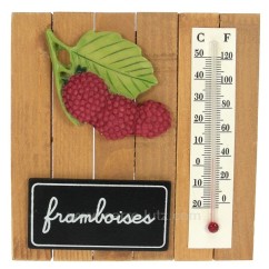 CL50110030  Thermometre framboise 8,90 €
