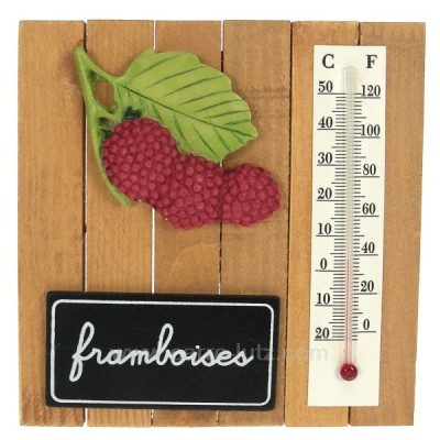 CL50110030  Thermometre framboise 8,90 €