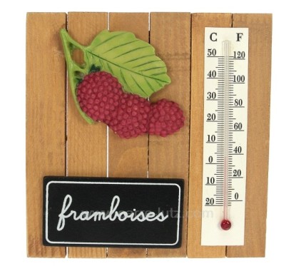 CL50110030  Thermometre framboise 8,90 €