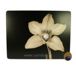 CL70000064  Set de table par 4 Ebony Orchid﻿ Pimpernel﻿﻿ 42,00 €