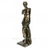 Sculpture en résine et poudre de bronze Venus de Milo hauteur 27 cm, reference CL88000014