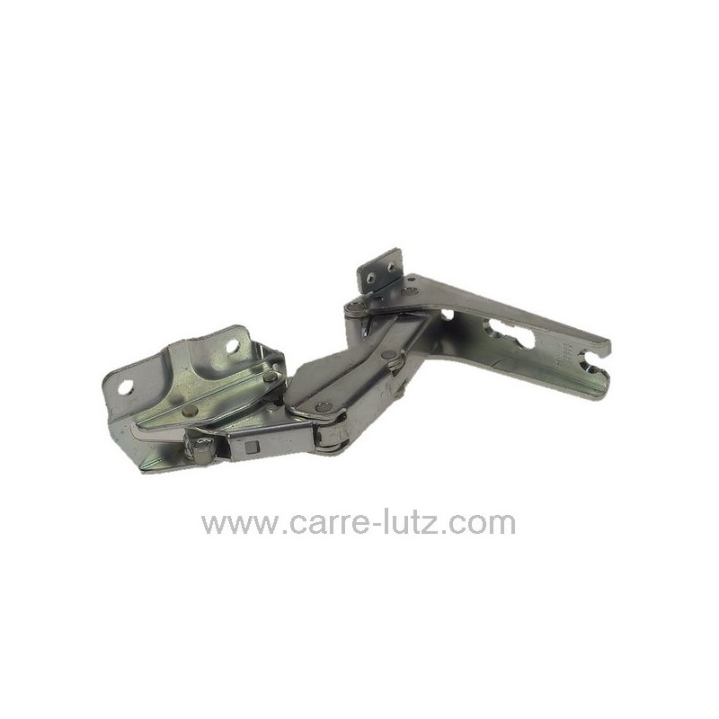 531110  2211202029 - Charnière de porte de réfrigérateur Aeg Arthur Martin Electrolux  21,10 €