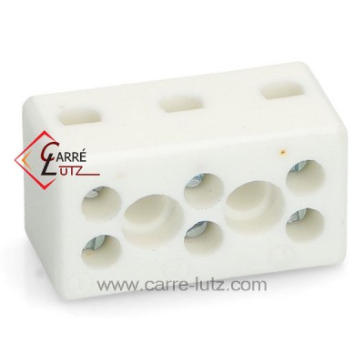 732042 Domino en porcelaine tripolaire 2,5 mm² 5,40 €