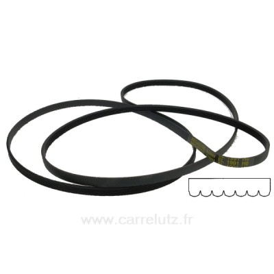 726230  C00116358 - Courroie plate de sèche linge 1991 H8  MAEL de sèche linge Ariston Indesit  11,40 €
