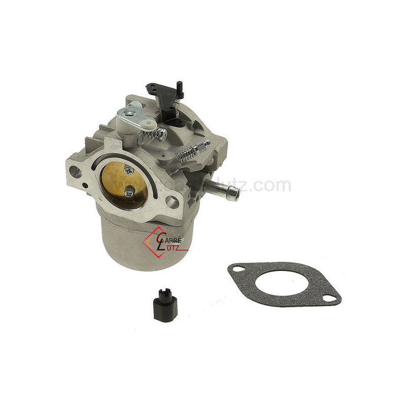 799728 - Carburateur pour moteur Briggs&Stratton 