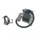 397358 - Bobine d\'allumage pour moteur Briggs & Stratton