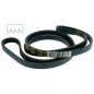 1150 J4 - Courroie plate de lave linge A Martin Faure 1150 J4 - Courroie plate de lave linge A Martin Faure