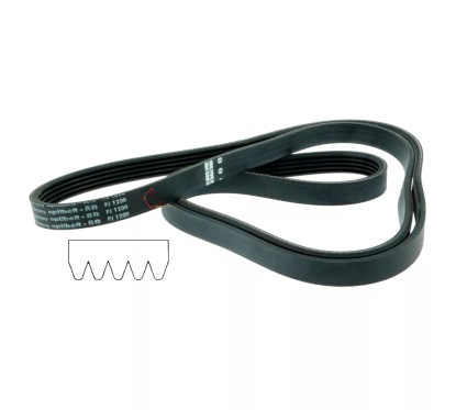 1200 J5 - Courroie plate de lave linge A martin Faure 678122399 Brandt 51x4305