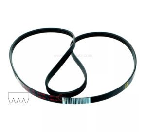 1250 J4 MAEL - Courroie plate de lave linge Laden Whirlpool 481235818056