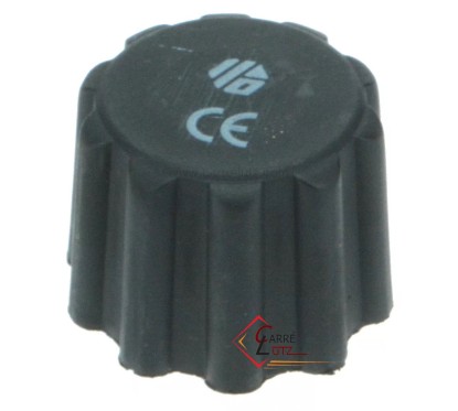 216403  Bouchon de centrale vapeur 3/8 pouce male 11,80 €