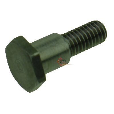 702573  00001307525 - Vis à épaulement Godin 3,00 €