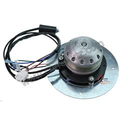 Ventilateur extracteur de fumée EBM R2E150 AN91-33 de poele a pellet Edilkamin