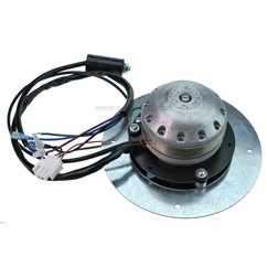 Ventilateur extracteur de fumée EBM R2E150 AN91-33 de poele a pellet Edilkamin