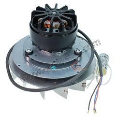 Ventilateur extracteur de fumée EBM R2E180-AU01-19 de poele a pellet 