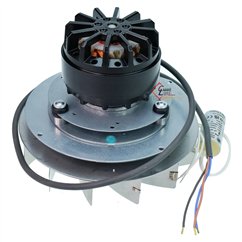 Ventilateur extracteur de fumée EBM R2E180-AU01-19 de poele a pellet 