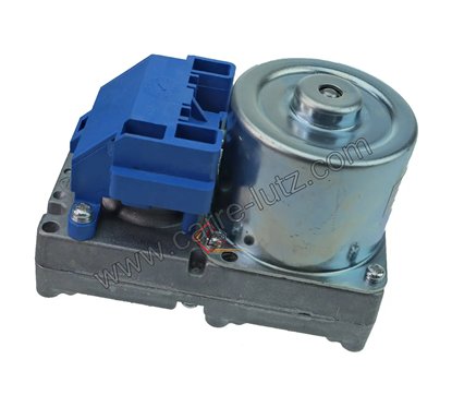 895735700 - Motoréducteur de vis sans fin 1,3 tour/minute Palazzetti