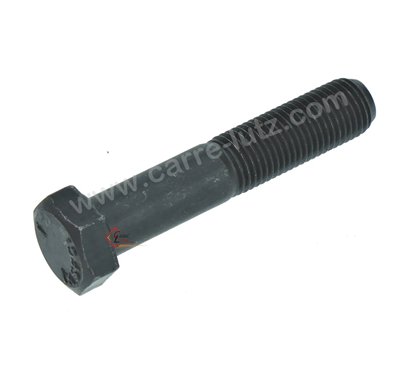 9987354  Vis de lame Castelgarden GGP Stiga 2,40 €
