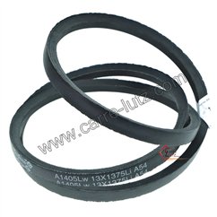 126436  Courroie A54 350614260 de tondeuse à gazon Castelgarden 7,00 €