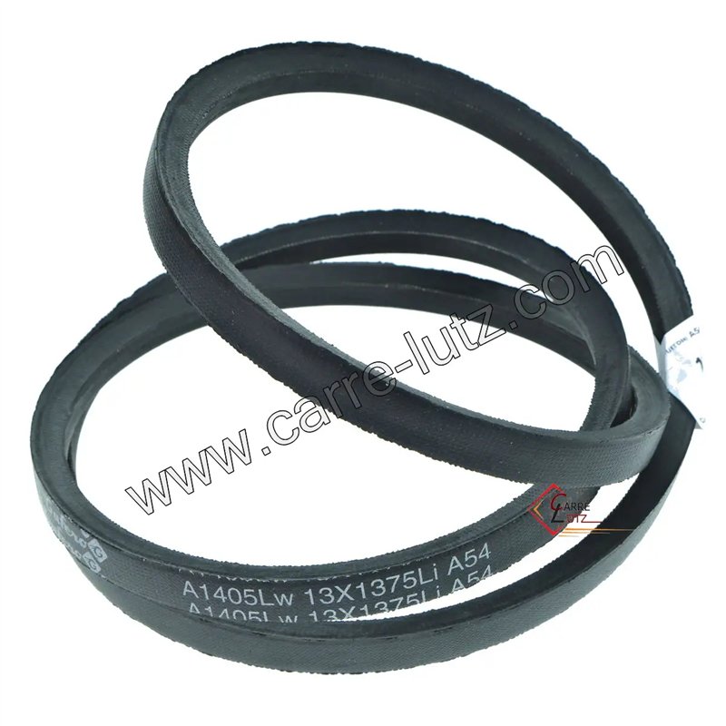 126436  Courroie A54 350614260 de tondeuse à gazon Castelgarden 7,00 €