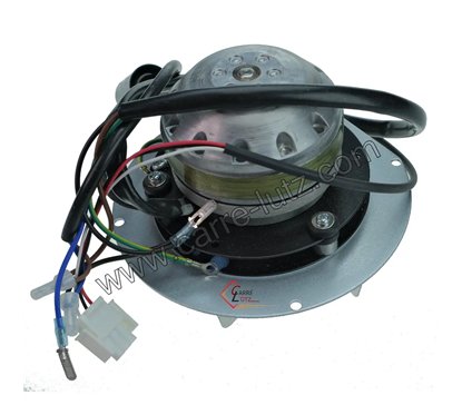 Ventilateur extracteur de fumée de poêle à pellets